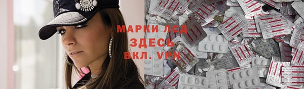 индика Арсеньев