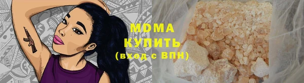 индика Арсеньев