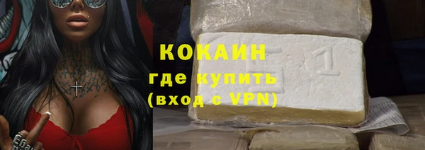 индика Арсеньев