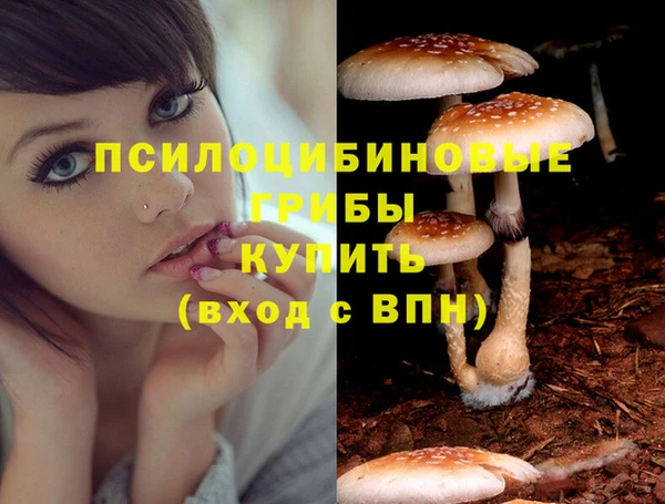 таблы Армянск