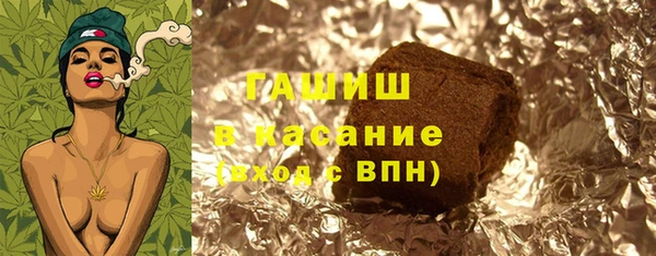 индика Арсеньев