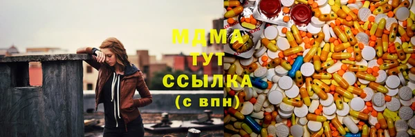 индика Арсеньев