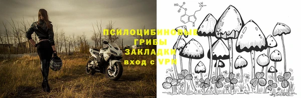 индика Арсеньев